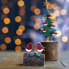 Robins on a Yule Log