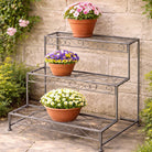 Scroll Plant Stand - Angela Reed - 