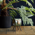 Scroll Ram Mottled Olive, Small - Angela Reed - 