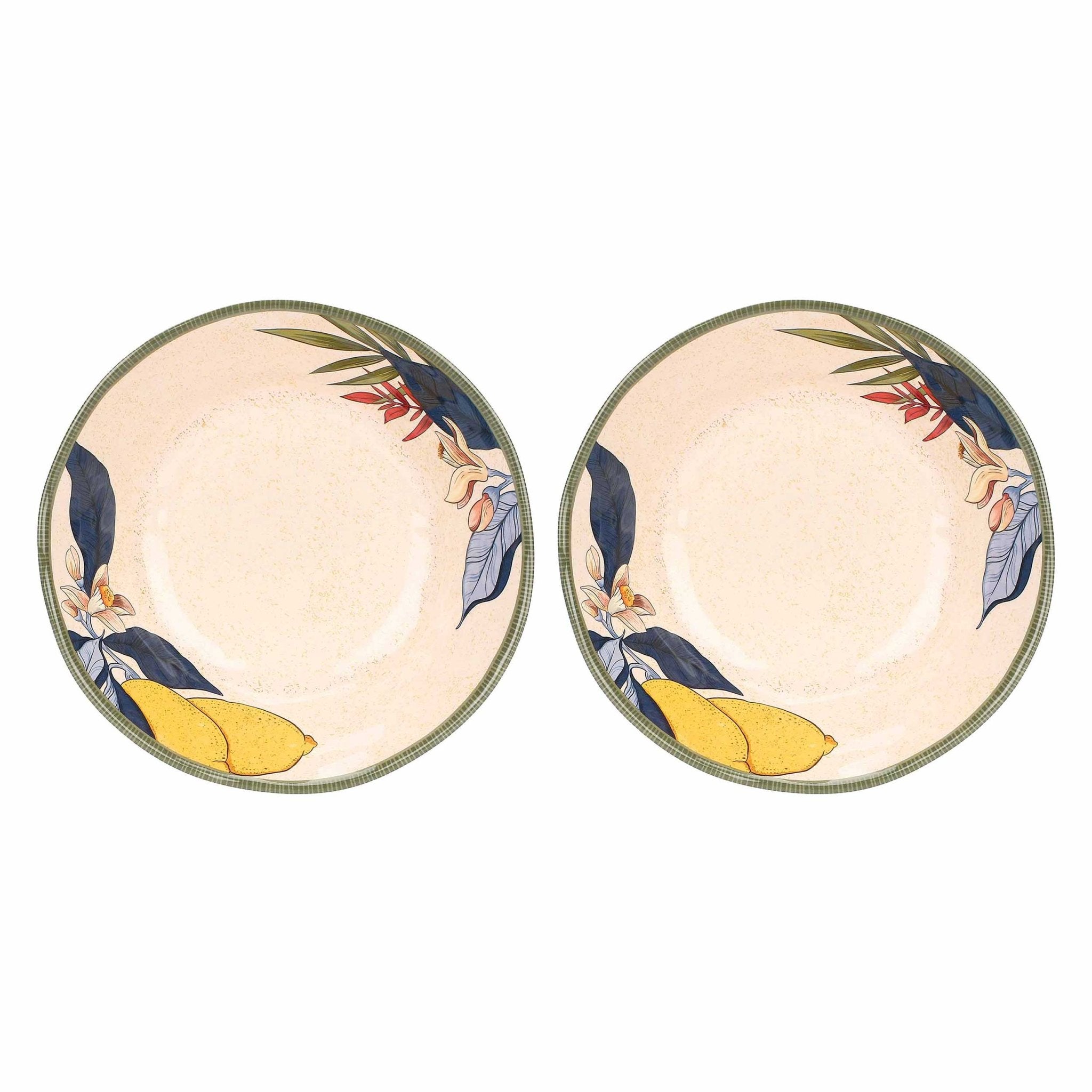 Set of 2 Melamine Lemon Soup Plates