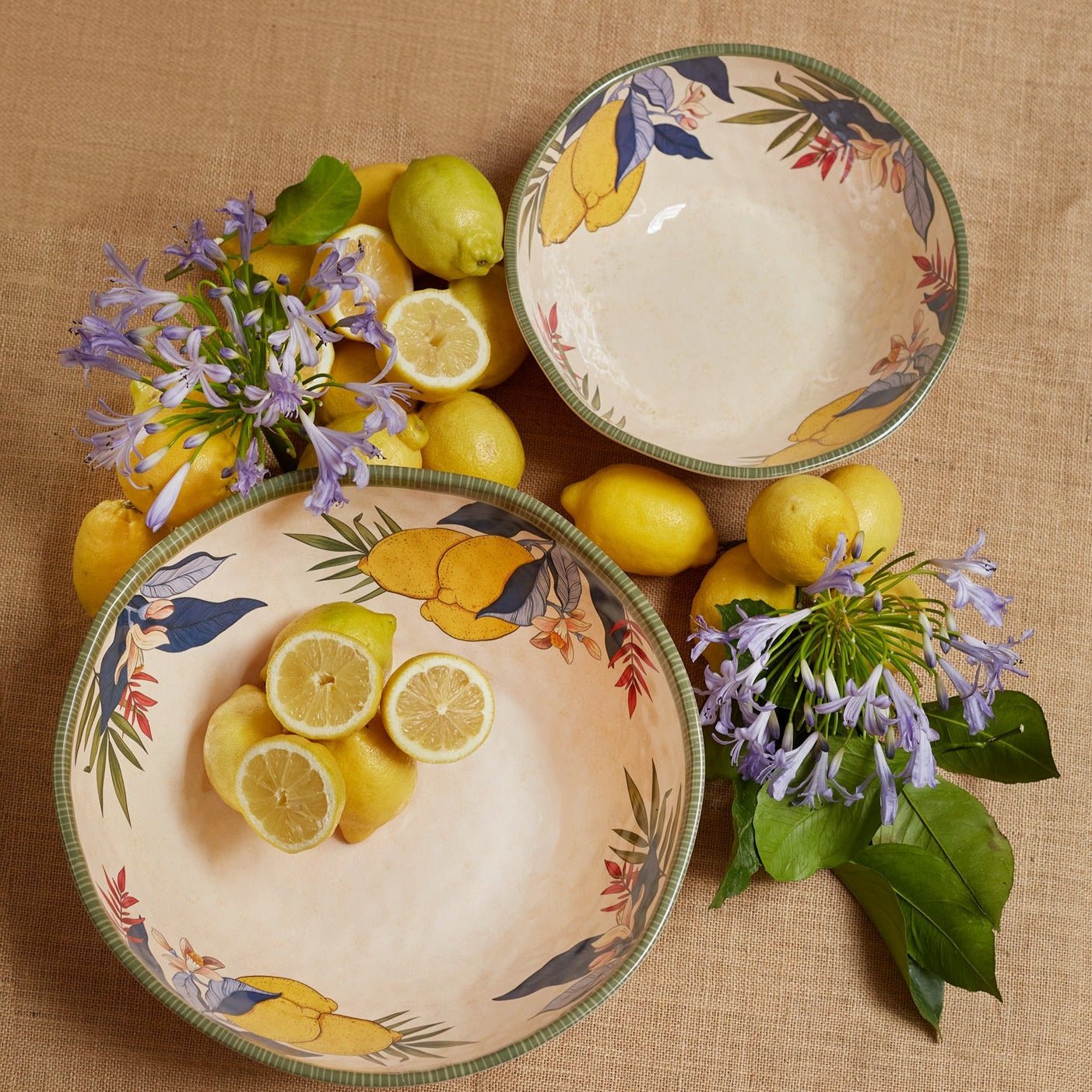 Set of 2 Melamine Lemon Soup Plates