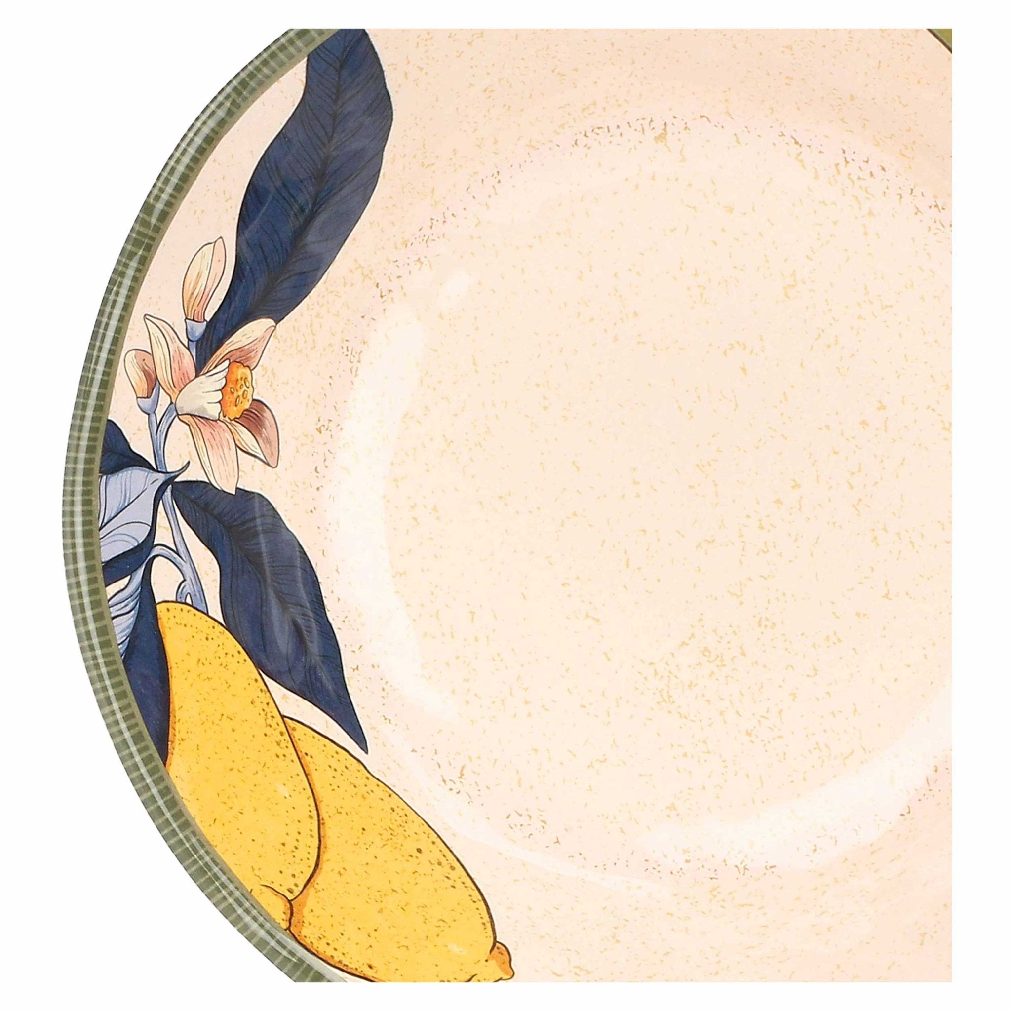 Set of 2 Melamine Lemon Soup Plates