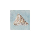 Shell Coaster