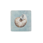Shell Coaster