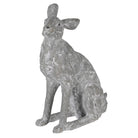 Sitting Grey Hare