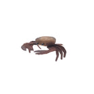 Small Wooden Crab