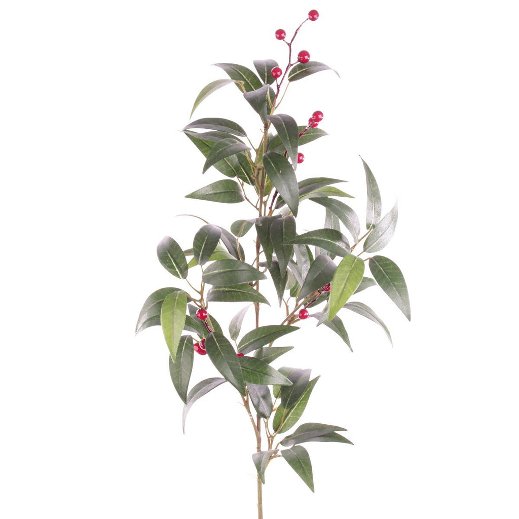Smilax Spray with Red Berries - Angela Reed -