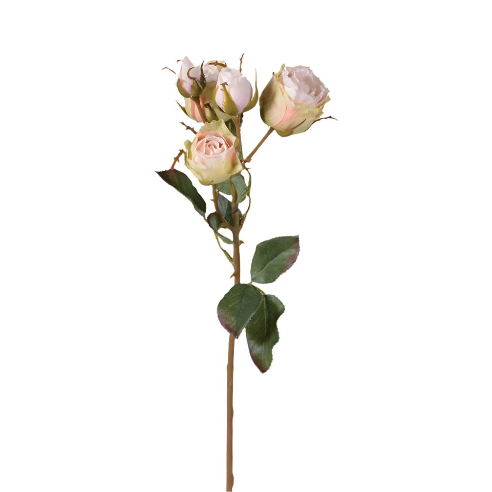 Soft Pink Vintage Rose Spray with Leaves - Angela Reed - 