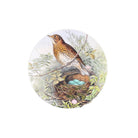 Song Thrush Coaster