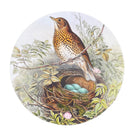 Song Thrush Placemat