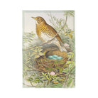 Song Thrush Tea Towel