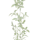 Sparkle Mini Leaf Garland 180cm