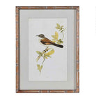 Garden Bird Wall Art