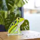 Spot the Glass Frog - Angela Reed - 