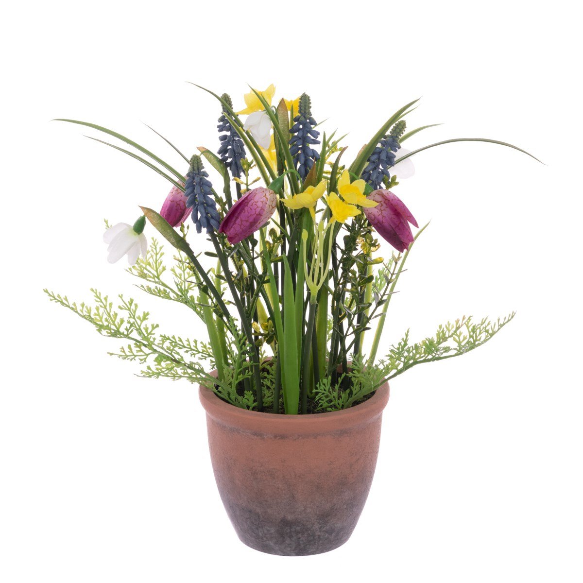 Spring Flowers in a Pot