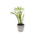 Spring Flowers in Cement Pot, Assorted