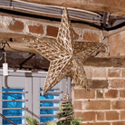 Star Tree Topper 23cm, Champagne - Angela Reed - Christmas Decorations