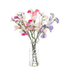 Sweet Peas in Vintage Bottle