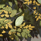 The Love Tree Framed Art