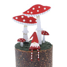 Tomte and Toadstools