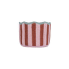 Tulip Basket Strawberry Mini,Large