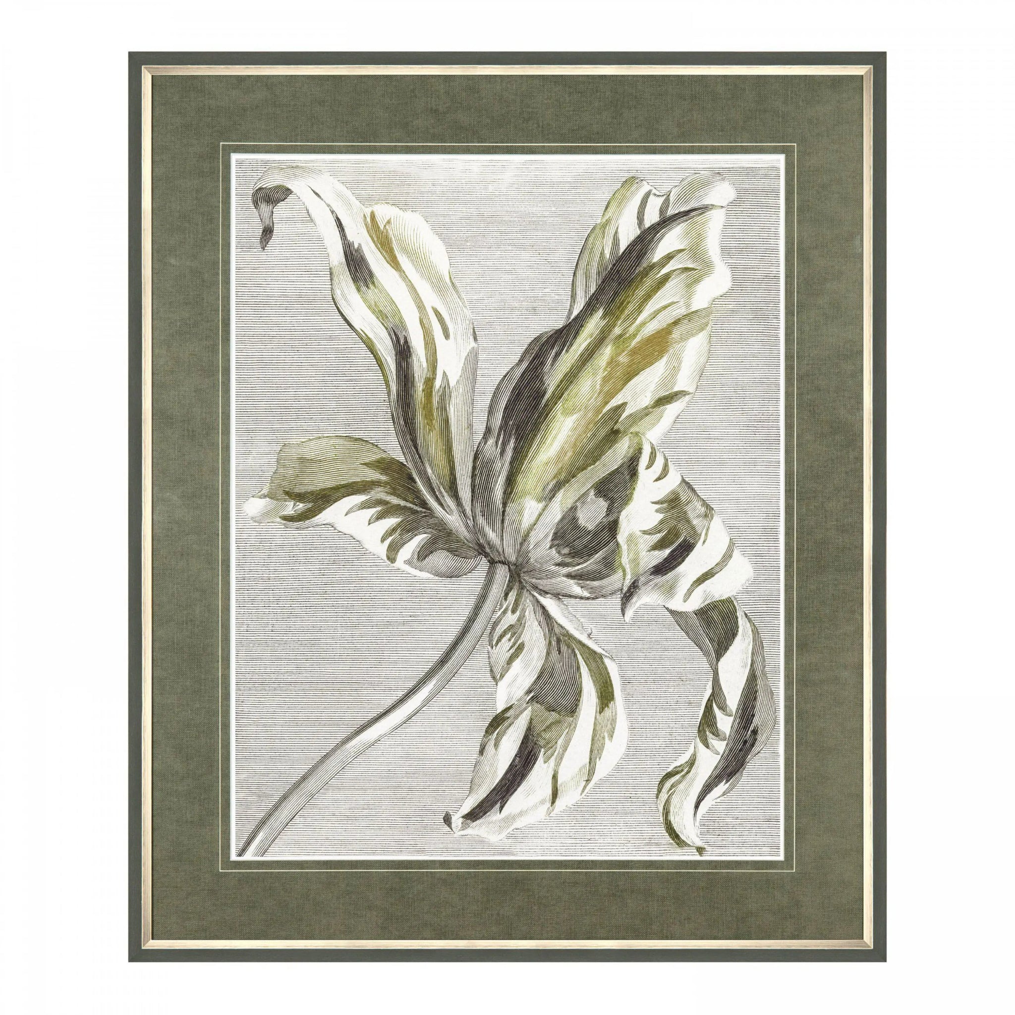Tulip Bloom Framed Art