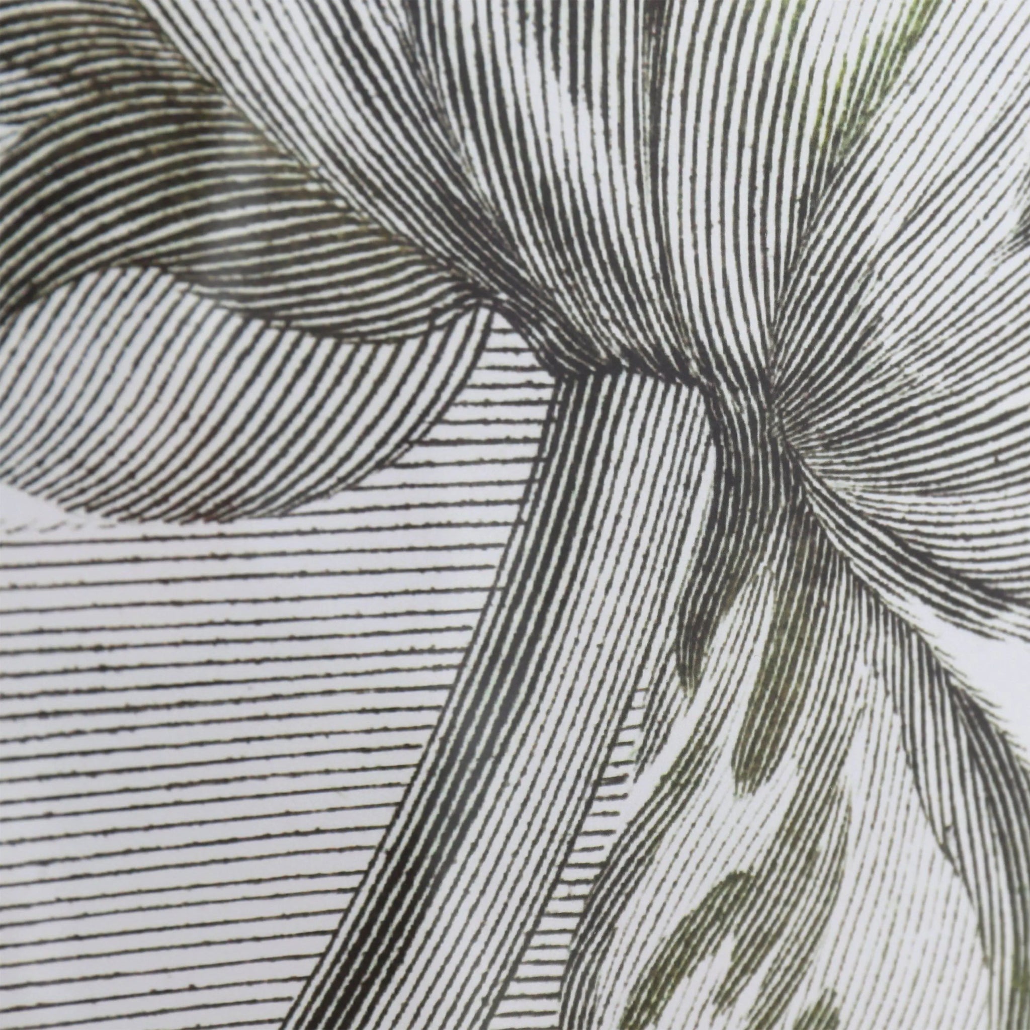 Tulip Bloom Framed Art