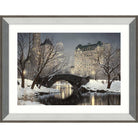 Twilight In Central Park