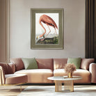 Vintage Flamingo Framed Art
