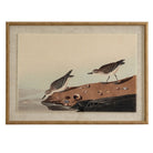 Vintage Style Coastal Stints On Linen In Wooden Frame
