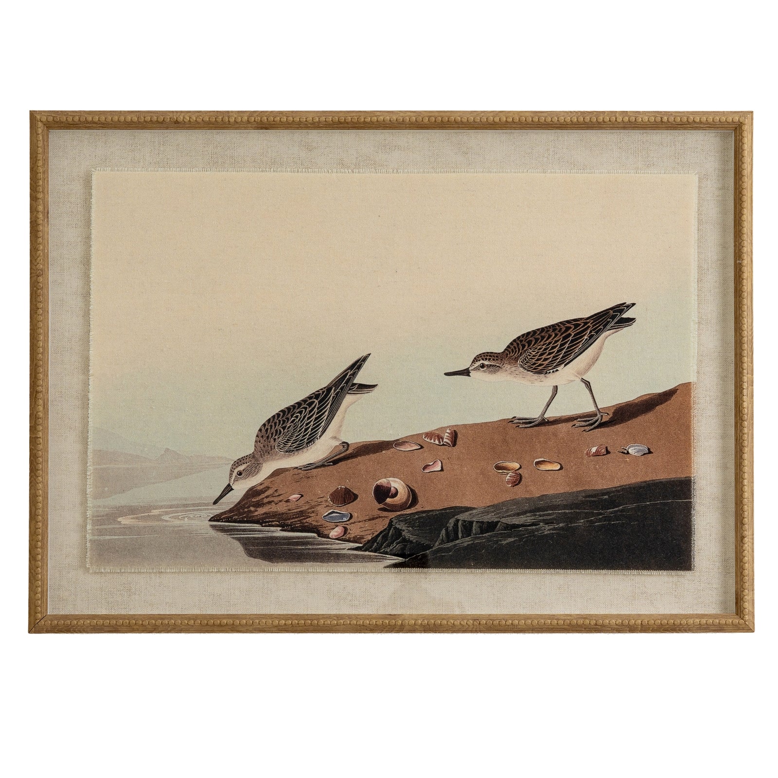 Vintage Style Coastal Stints On Linen In Wooden Frame