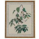 Vintage Style Warblers On Linen In Wooden Frame