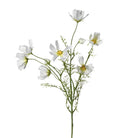 White Cosmos Spray
