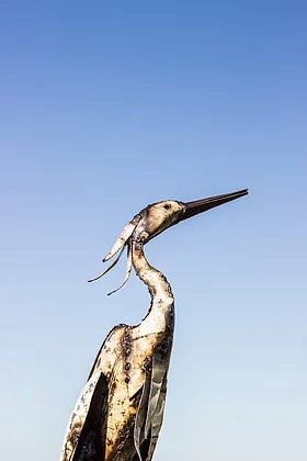 White Egret - Angela Reed - 