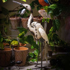 White Egret - Angela Reed - 