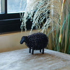 Wiggle Lamb, Black