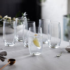 Wine & Dine Highball, Set of 6 Glasses - Angela Reed - 