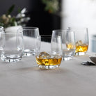 Wine & Dine Tumbler, Set of 6 - Angela Reed - 