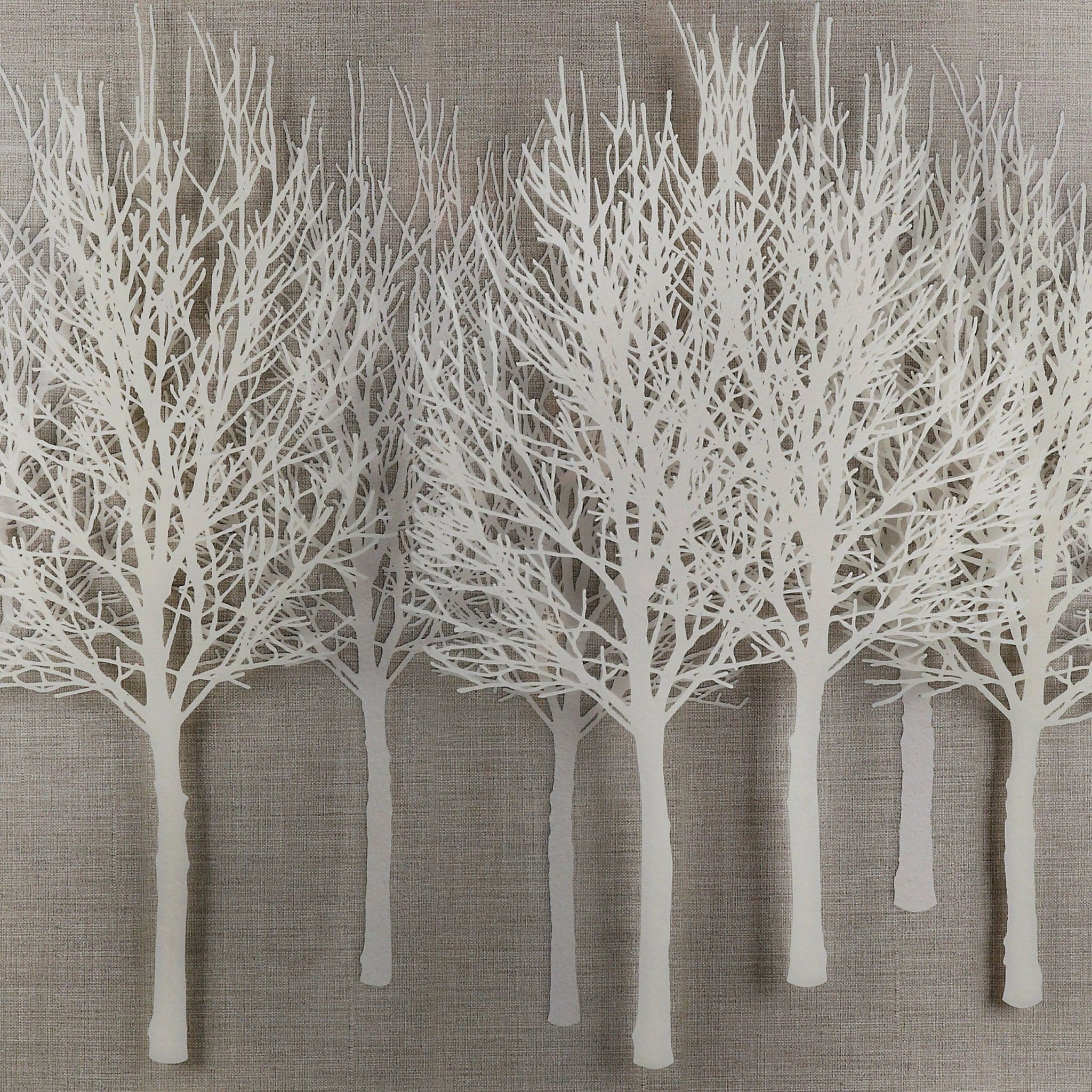 Wonder Woods Framed Art