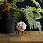 Woolly Ceramic Sheep, White - Angela Reed - 