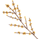 Yellow Berries Felt Branch