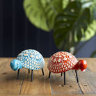 Zippo the Tortoise - Angela Reed - 