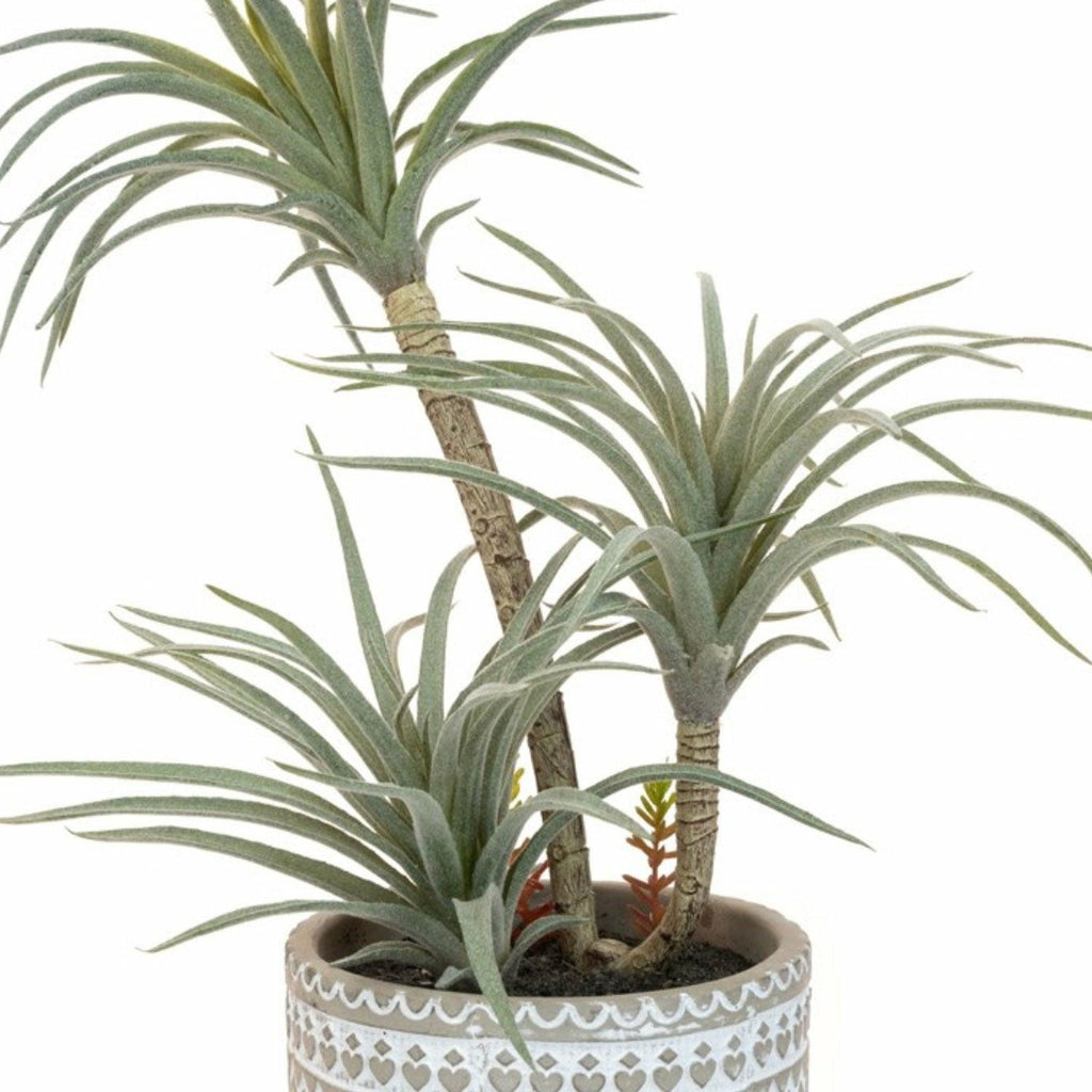 Airplant in Grey Patterned Pot