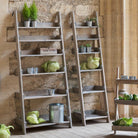 Aldsworth Ladder Shelf Large,Small