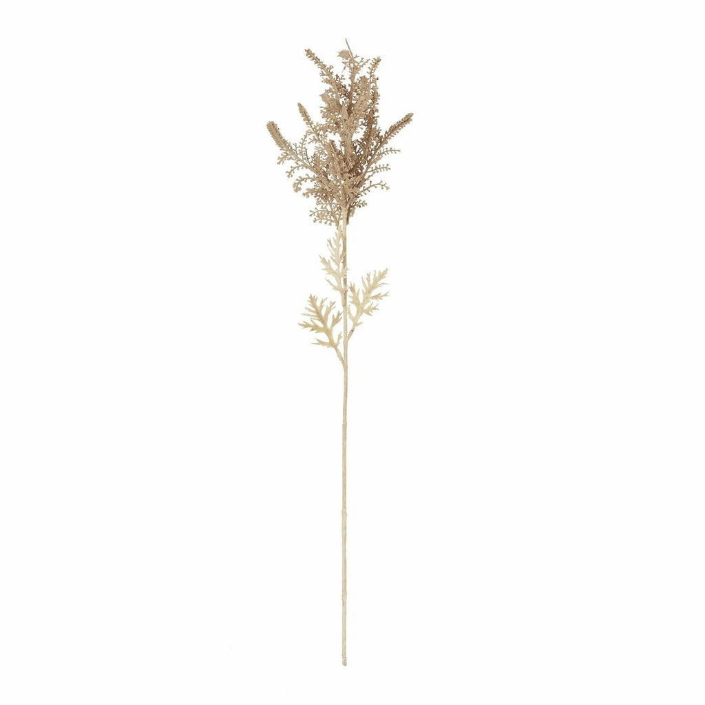 Astilbe, Bleached
