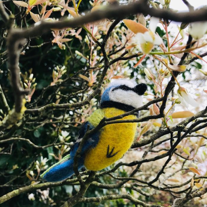 Blue Tit Biodegradable Hanging Decoration