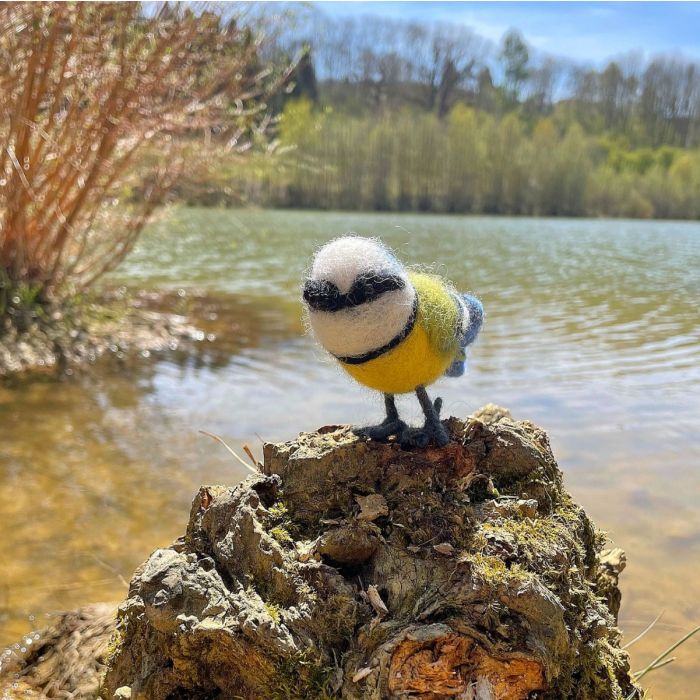 Blue Tit Biodegradable Hanging Decoration