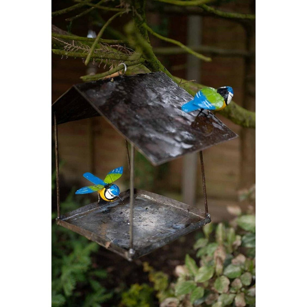 Blue Tit Hanging Bird House
