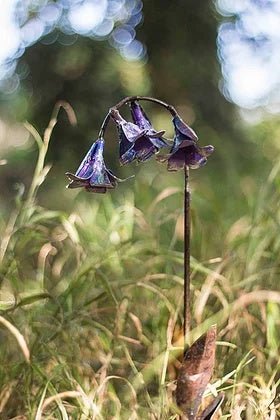 Bluebell Recycled Metal