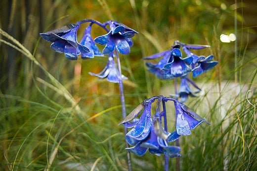 Bluebell Recycled Metal